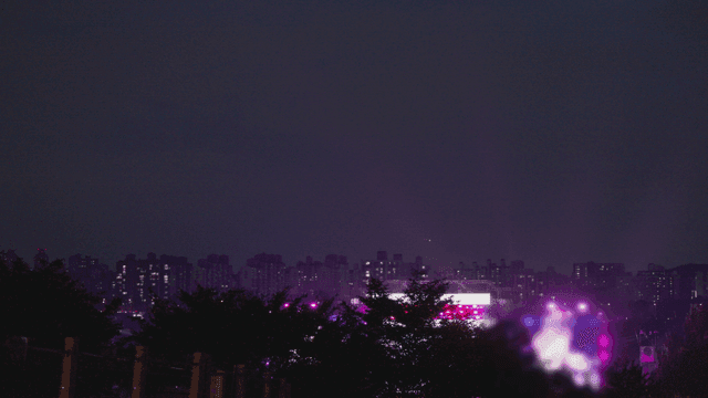 Vibrant concert city night view beyond the trees