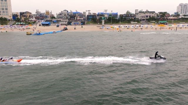 해변에서 수상 스포츠를 즐기는 사람들