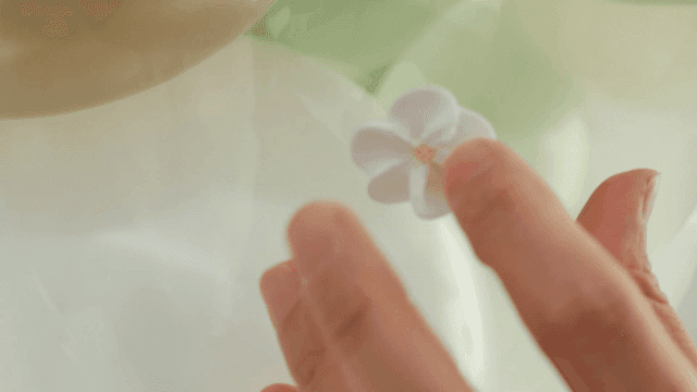 Hand attaching small white flower to balloon