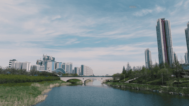 Calm lake park in modern cityscape