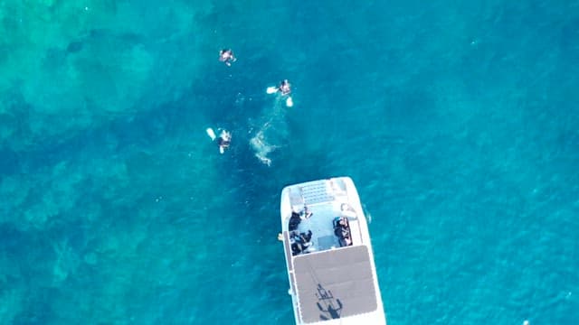 Aerial View of People Snorkeling by a Boat