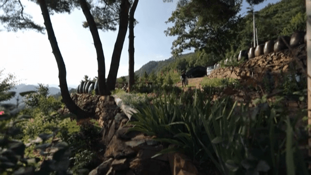 나무와 항아리가 있는 평화로운 정원