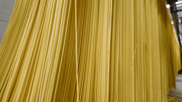 공장에서 걸려 있는 파스타 면