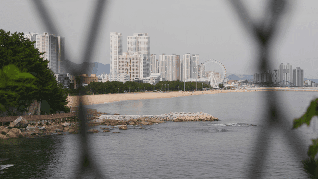 철망 넘어 보이는 고층 건물과 대관람차가 있는 해변 풍경