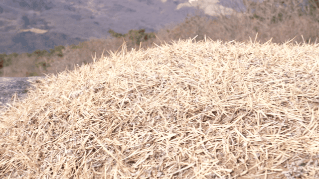 Dry grass on a rocky mountain slope