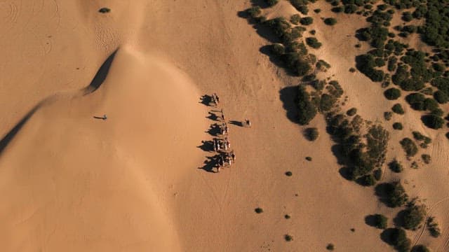 Camel procession crossing a vast desert