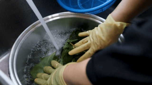 싱크대에서 신선한 잎을 씻는 모습