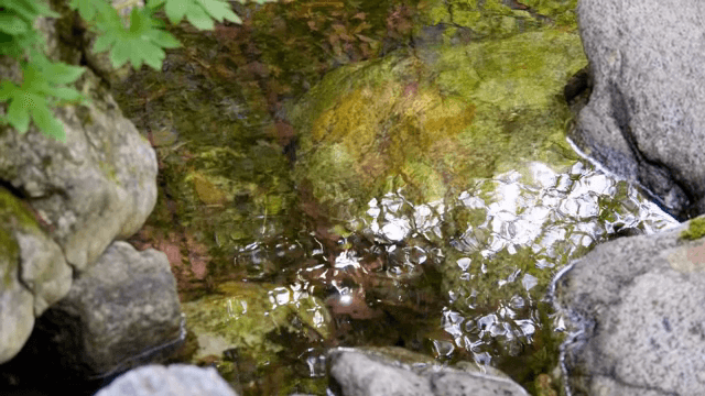 바위 위로 흐르는 맑은 물