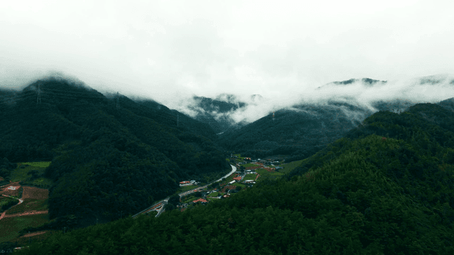 Misty mountains with lush green forests