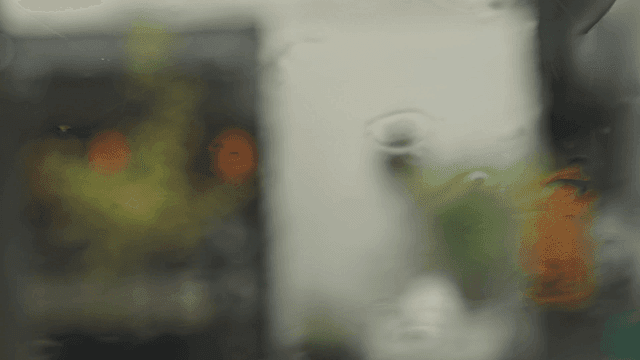 비 오는 창문을 통한 흐릿한 풍경