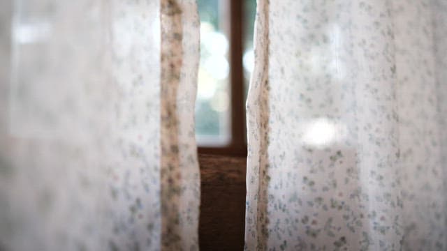 얇은 꽃무늬 커튼을 통해 비치는 햇빛