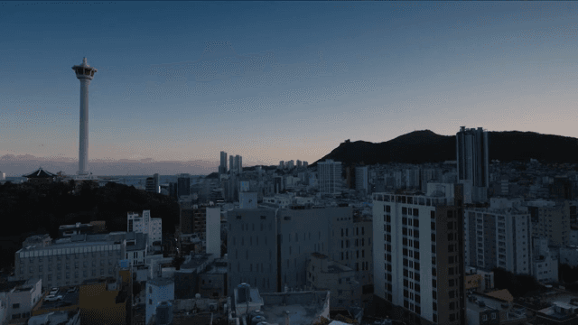 새벽의 도시 스카이라인과 높은 타워