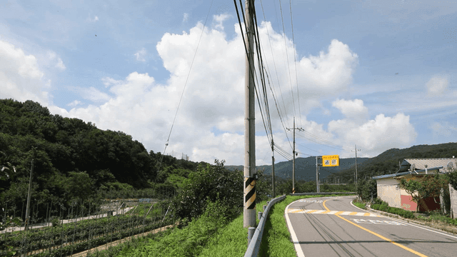 Country road with green vegetation