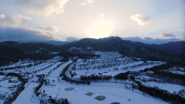 해질녘 눈 덮인 나무와 겨울 풍경