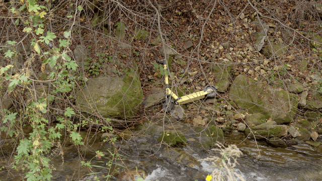 버려진 킥보드가 있는 개울가