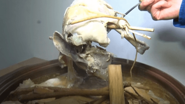 먹음직스러운 닭백숙 속 닭고기