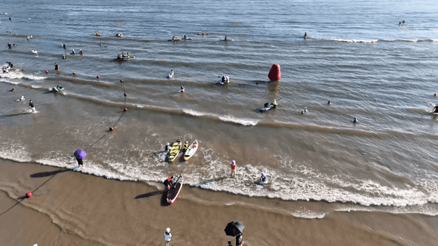 people enjoying a sunny day at the beach
