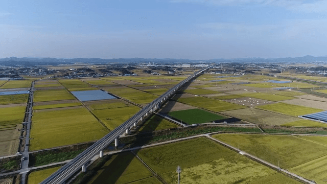 긴 다리가 있는 넓은 농경지