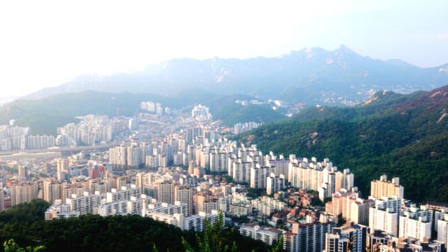 언덕에서 내려다보는 활기찬 도시 풍경