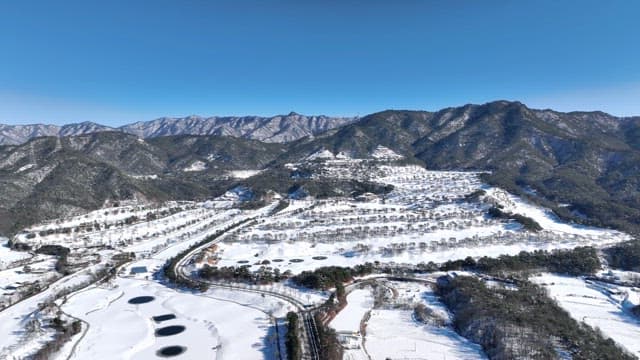 Snow-Covered Countryside Landscape