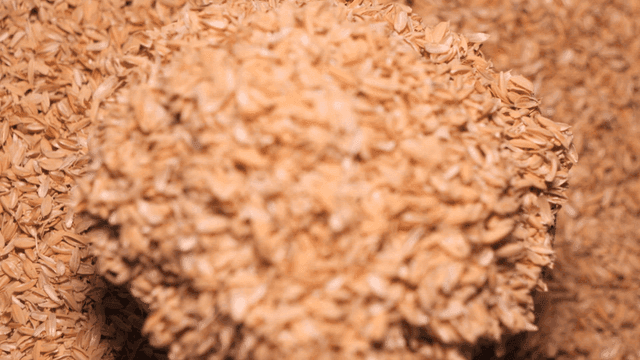 트레이에 가득 담긴 왕겨