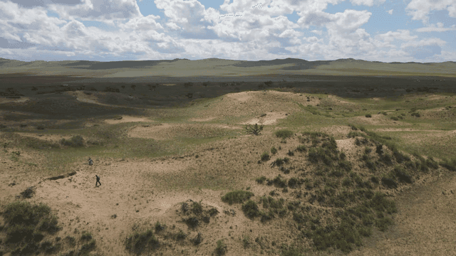 드문드문 식물이 있는 광활한 사막 풍경