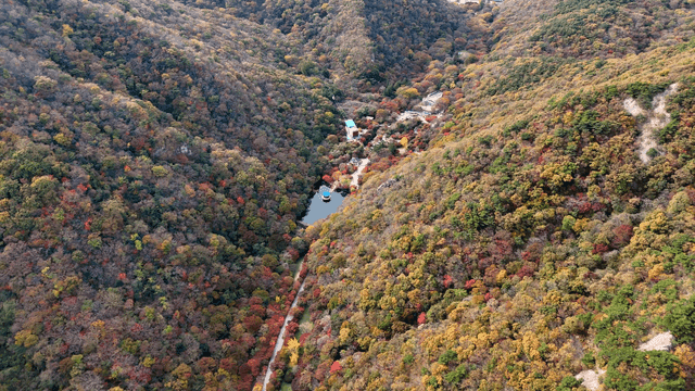 Aerial view of a forested mountain valley