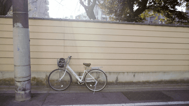 햇살이 비치는 날 벽 옆에 주차된 자전거