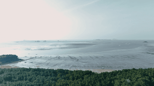 Scenery of vast sea and tranquil coastal mudflats