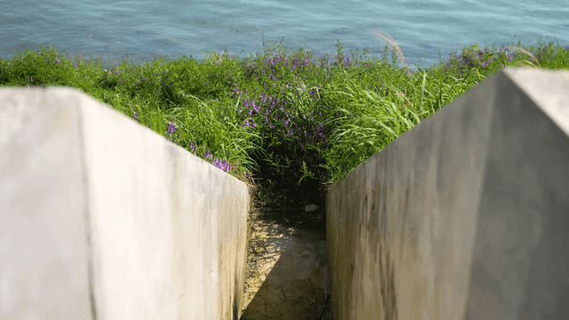 Road leading to quiet river