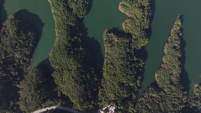 우거진 산림 언덕 사이의 평화로운 호수