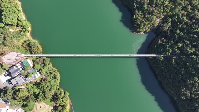 View of a Suspension Bridge with Scenic Lake and Forests