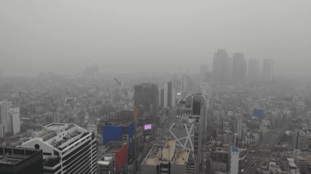 안개 낀 도시 풍경과 높은 건물들