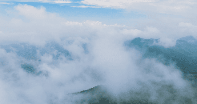 Lush green mountains covered in clouds