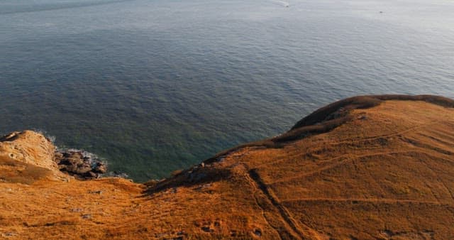 평화로운 해안 언덕과 바다 풍경