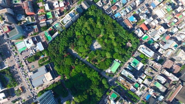 건물로 둘러싸인 도시 공원의 전경