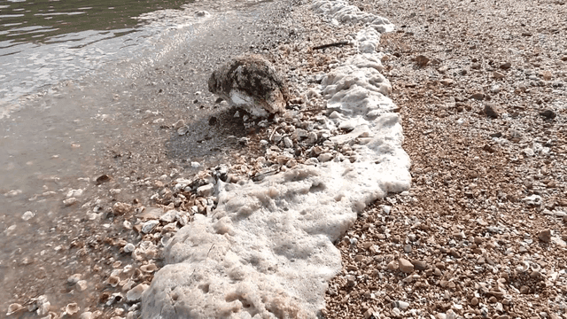 A rocky shoreline with foamy waves