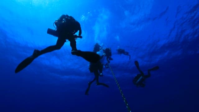 수면으로 올라가는 다이버들