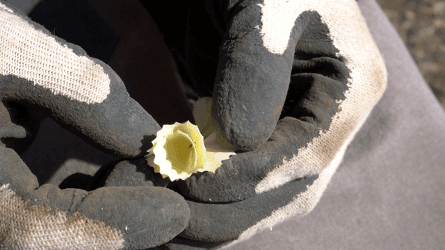 나무 연필 부스러기를 만지는 손