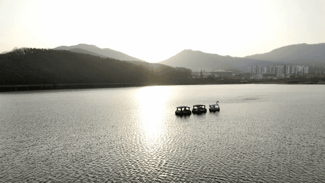 Tranquil lake with pedal boats at sunset