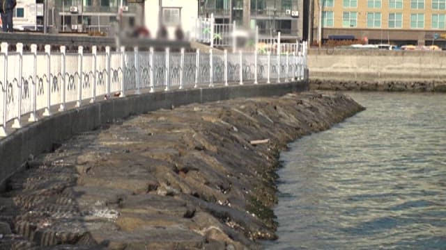 Sea Facing the Pedestrian Path of a Coastal City