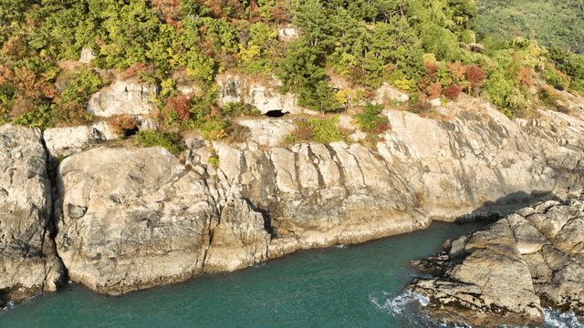 Rocky cliff with lush greenery by the sea