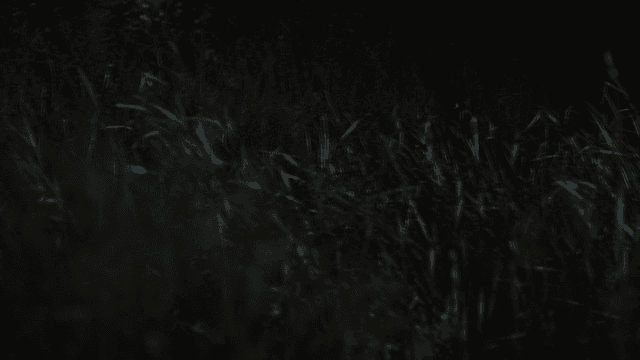 Woman walking through tall grass at night
