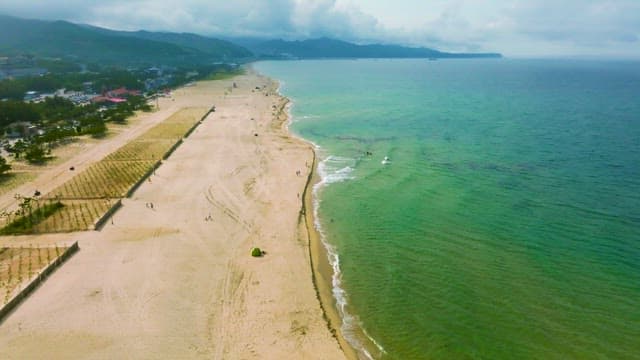 파도가 있는 고요한 해변