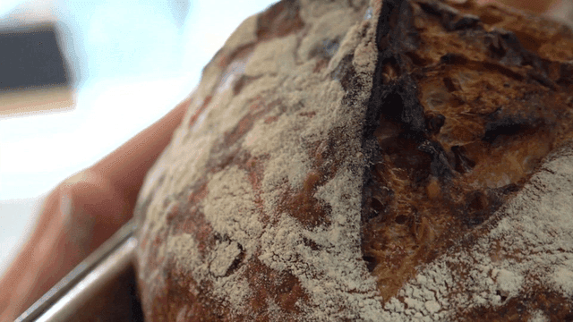Tapping crispy campagne crust by hand