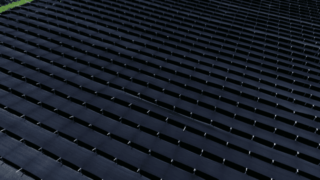 들판에 차양막이 쳐진 농경지 줄들