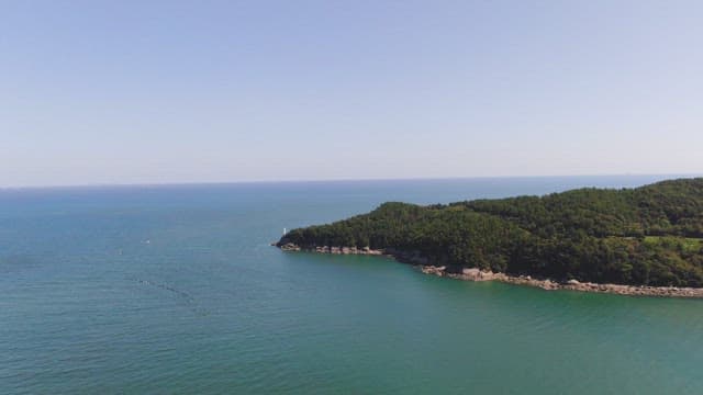 Serene coastline with lush greenery