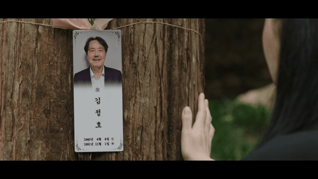 숲속 나무에 걸린 추모 사진