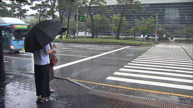 Woman Waiting at Crosswalk on Rainy Day