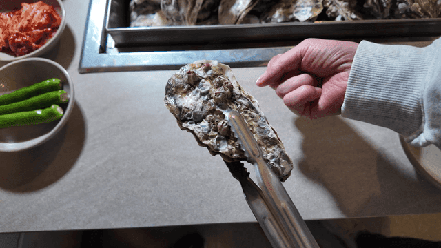 Oyster stew, picked up with tongs and compared to size of your hand